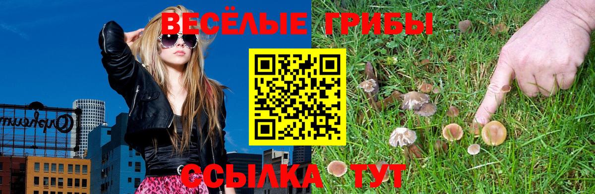 Псилоцибиновые грибы Psilocybe Баксан