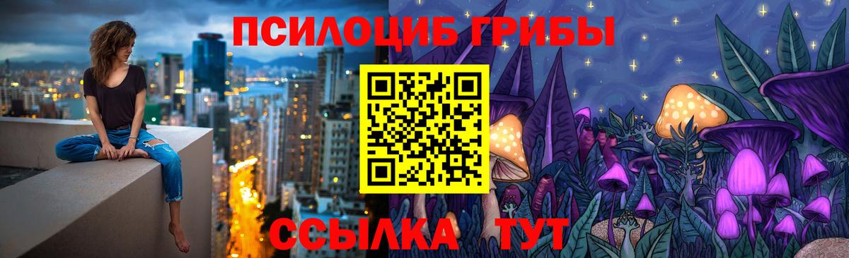Галлюциногенные грибы ЛСД  Псилоцибиновые грибы Psilocybine cubensis  Баксан  Вход с VPN 
